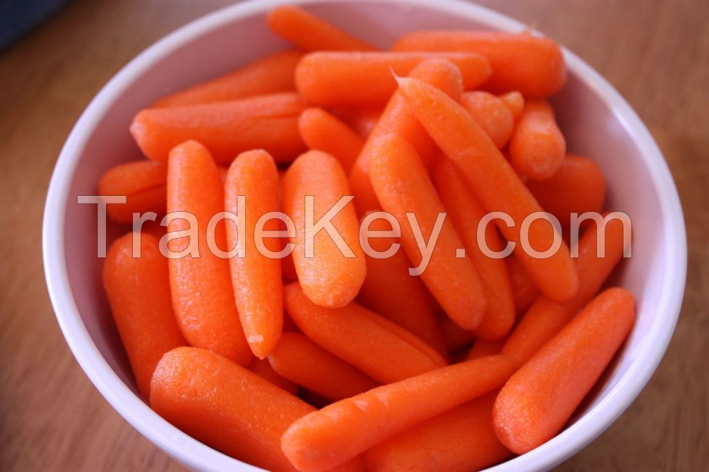 Eden View Baby Carrots Fresh Vegetable Produce Chinese Variation