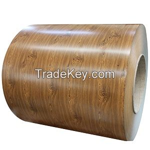 Wooden ppgi sheet/coil for container house building material