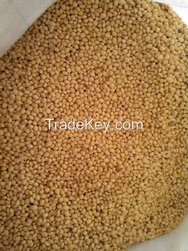 Natural Non-GMO soyabeans