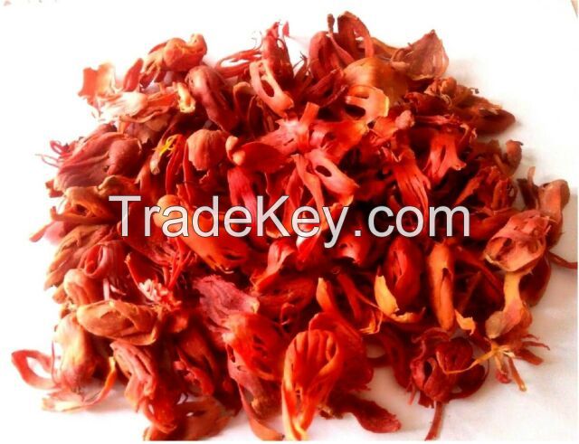 100% Premium Grade Organic Mace Whole with Flower For Sales & Export