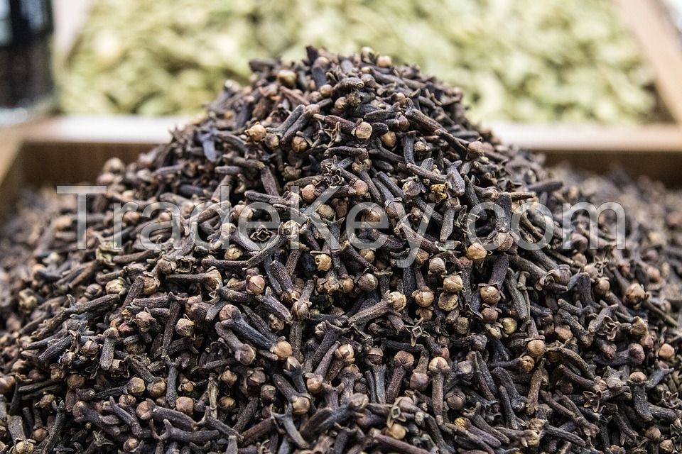High Quality Dry Clove Spices