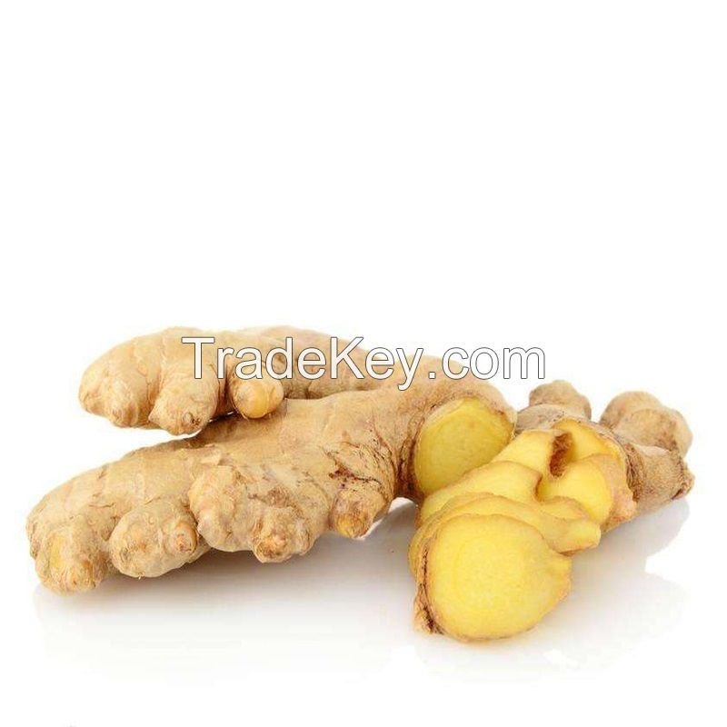 250g North America Quality Yellow Ginger