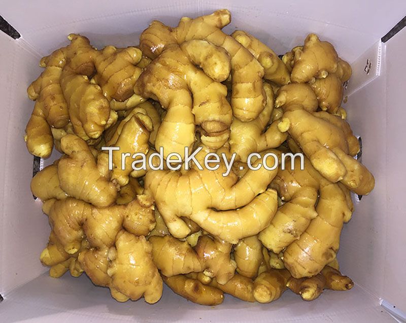 5kg Carton Air Dried Ginger from Thailand