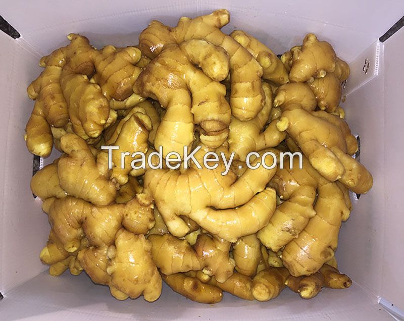 Wholesale Organic Fresh Ginger