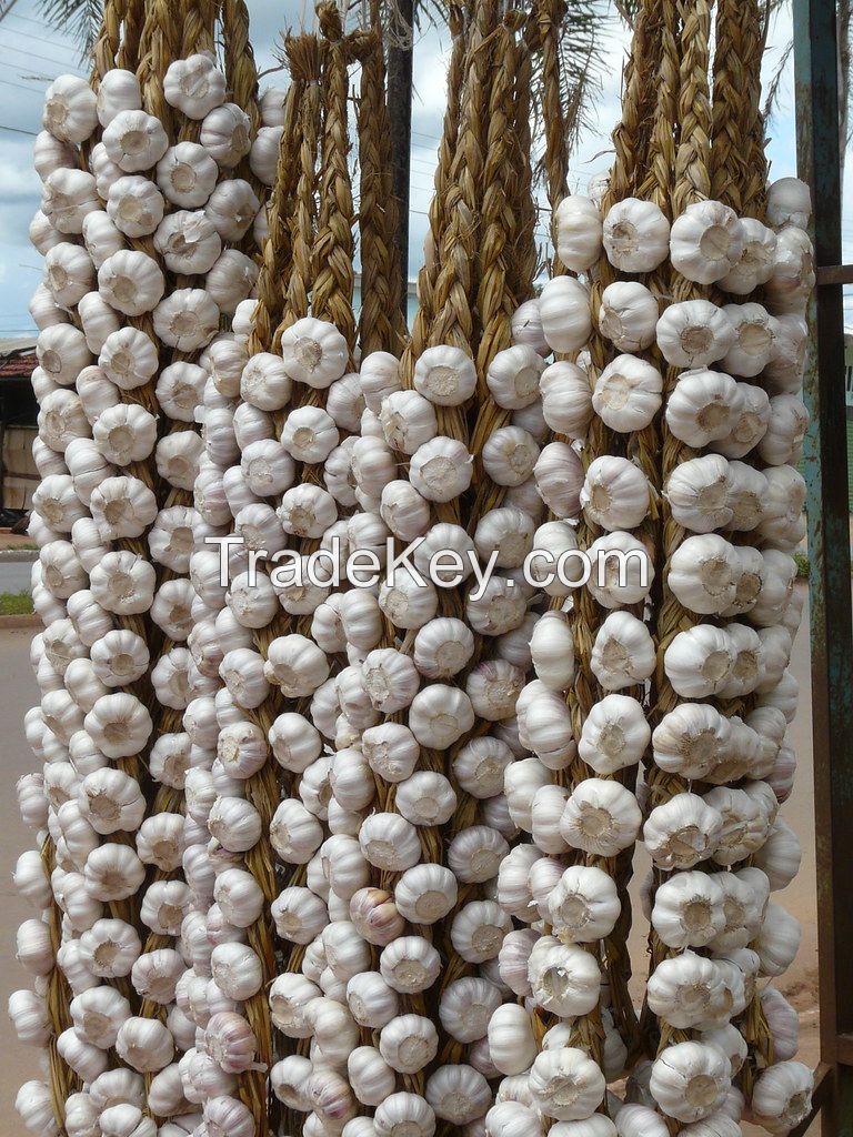 10kg Mesh Bag Normal White Garlic On Sale