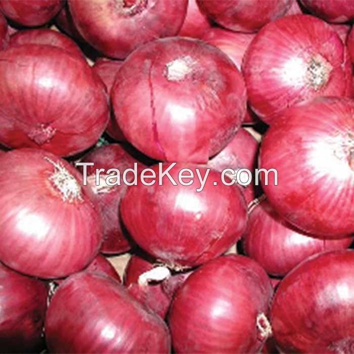 Fresh Red and Yellow Onion