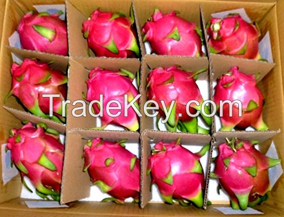 Fresh Dragon fruit from Vietnam