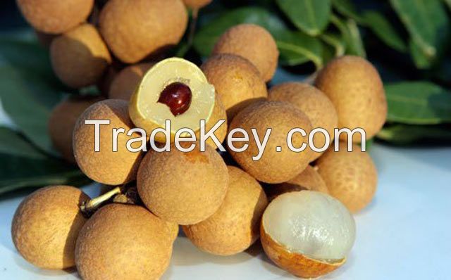 Fresh Longan fruit