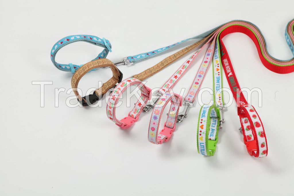 Embroidery ribbon collar + leash