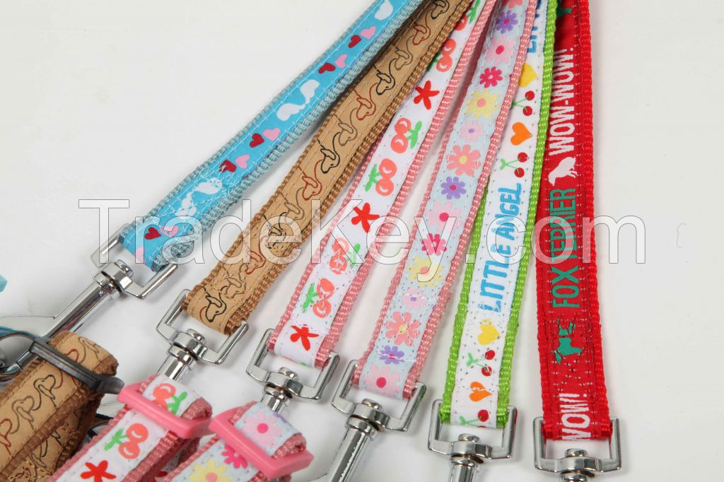 Embroidery ribbon collar + leash