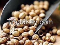 Coriander Seeds