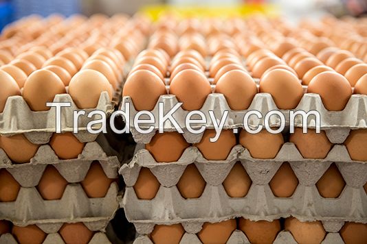 Fresh Healthy farm Eggs 