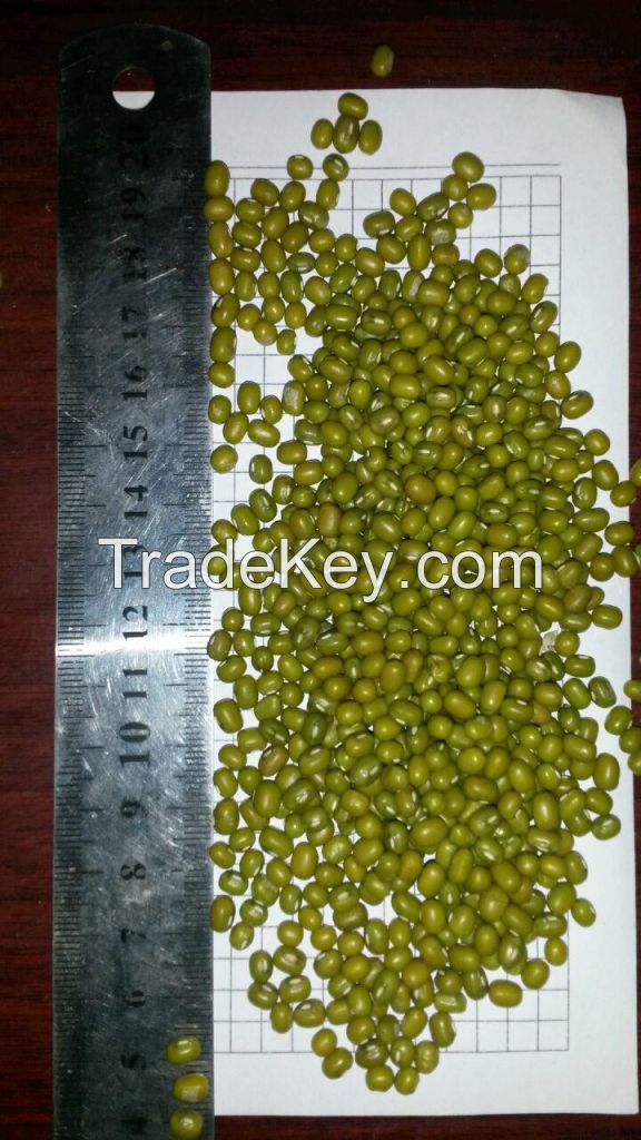 green mung bean