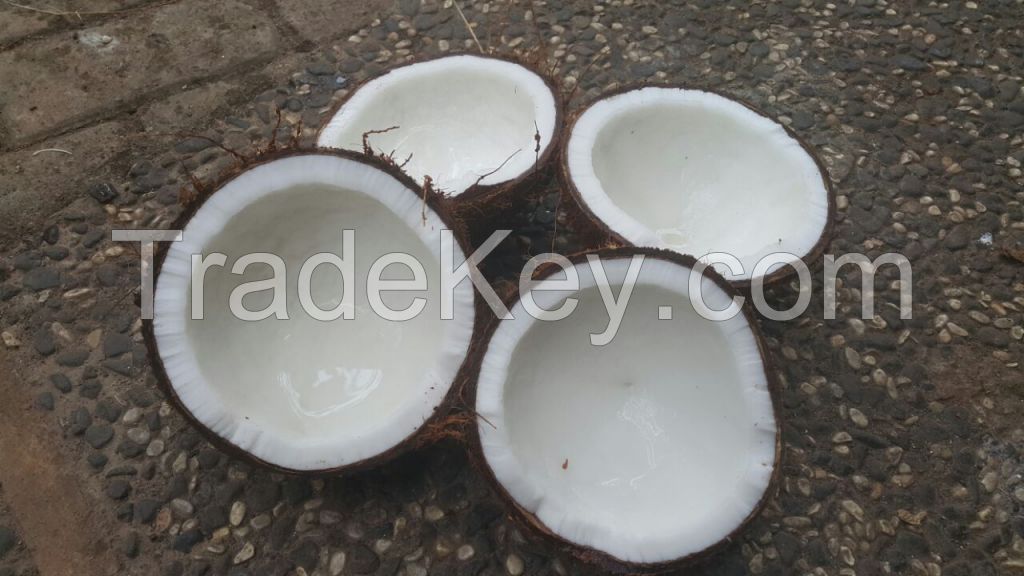 Coconut