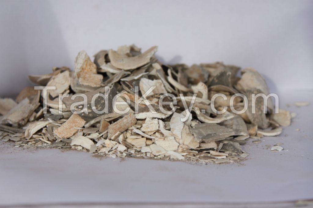 Grit Oyster Shell