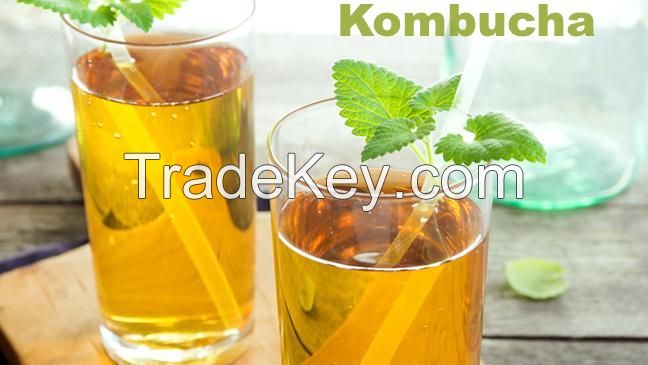 Where To Buy Kombucha Online?