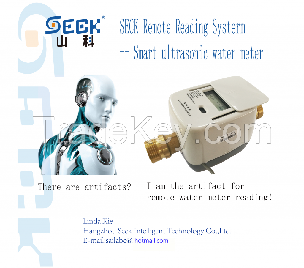 Smart Domestic Ultrasonic Water Meter