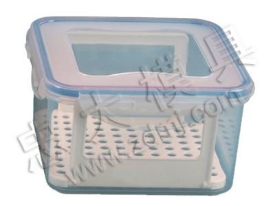 fresh keeping boxes plastic mould