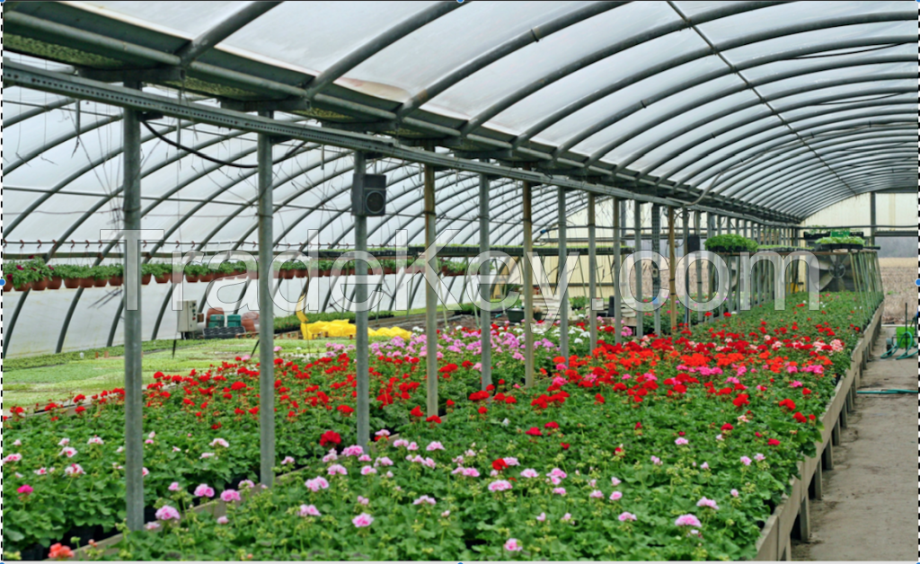 Flower Greenhouse Film