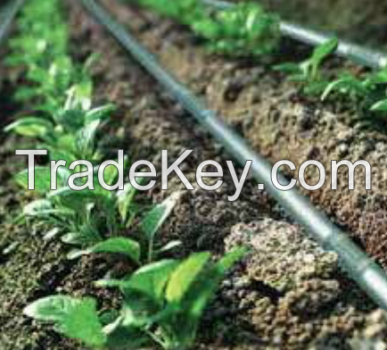 Drip Irrigation Pipes