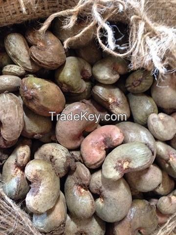 Raw Cashew nuts