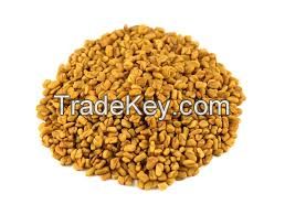 Fenugreek Seed