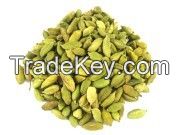 Cardamom