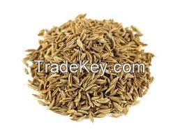 Cumin Seed