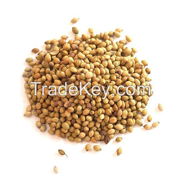 Coriander Seed