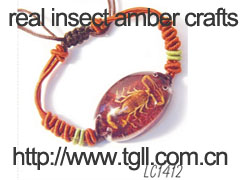 insect abmer jewelry bracelet fashion accessories