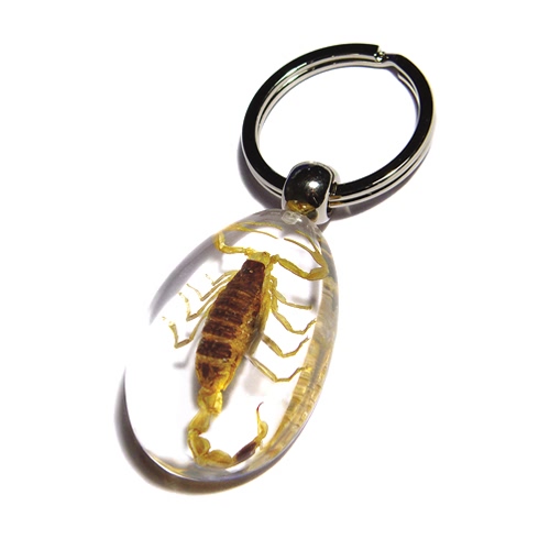 real insect amber jewelry key chain