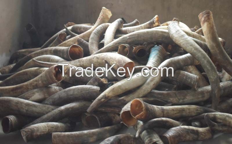 HardWood Charcoal and other agro allied commodities