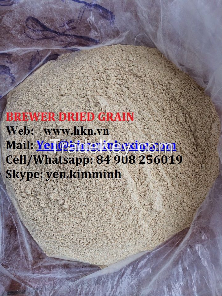 BREWER DRIED GRAIN RICH PROTEIN FOR COW/DAIRY COW/ANIMAL FEEDS