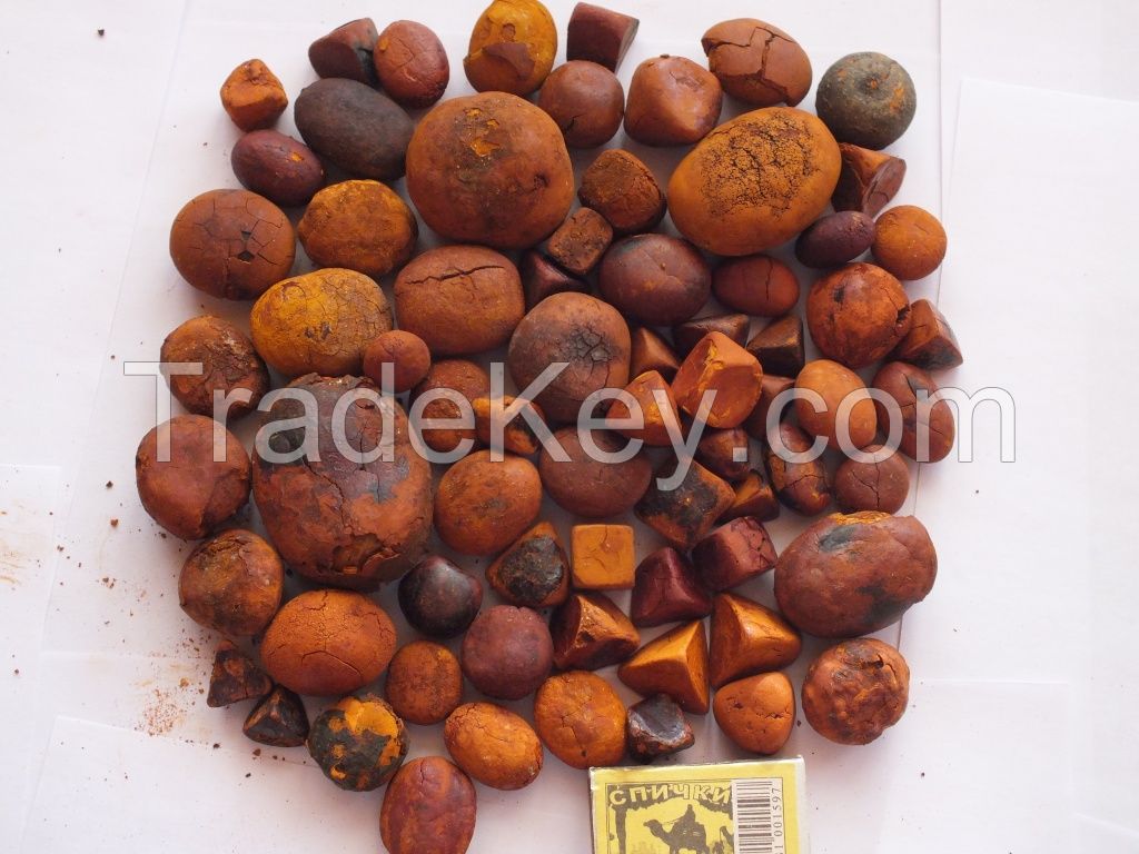 Garcinia bitter kola nut,Kola nut,Cow Gall stone