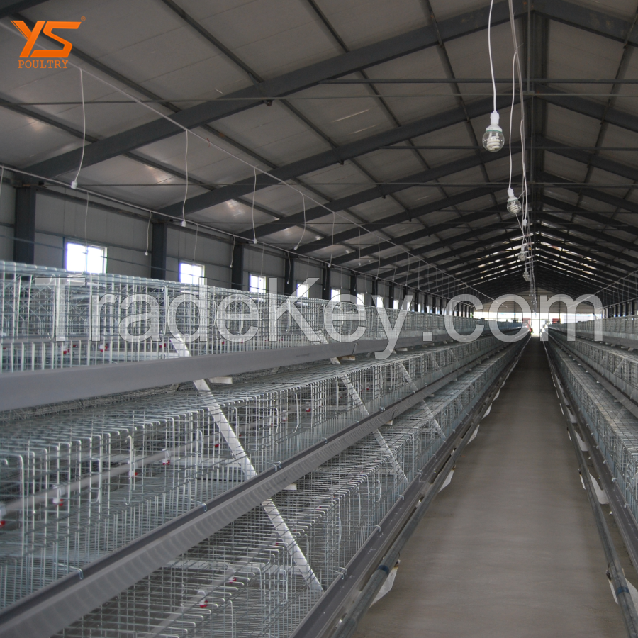 Hot dipped galvanization pullet cage feeders and drinkers