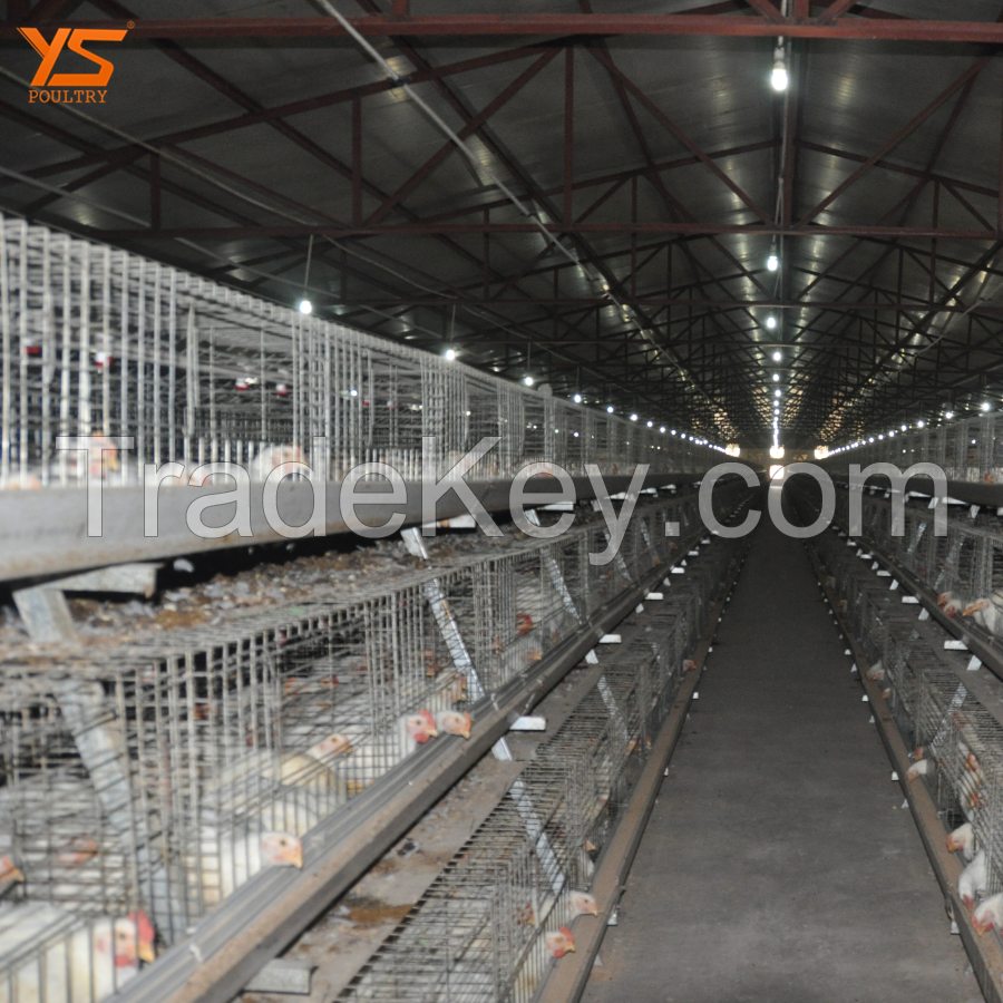 automated meat broiler chicken cages for sale