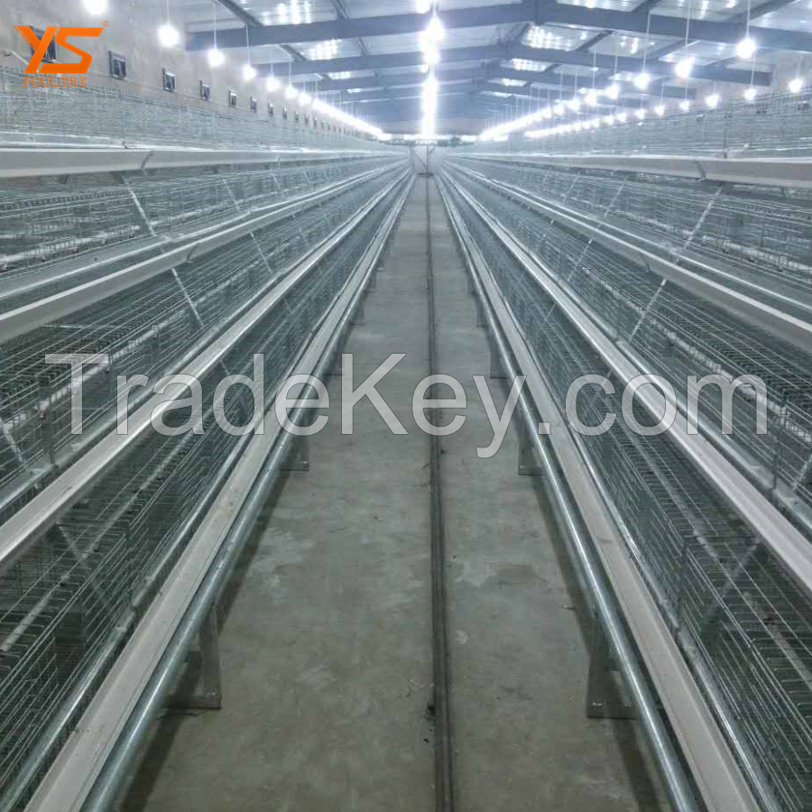 Hot dipped galvanization pullet cage feeders and drinkers