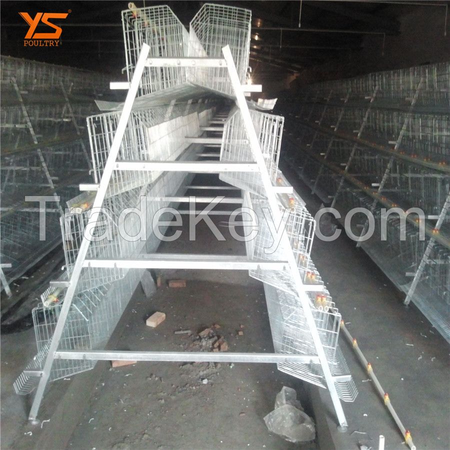 Cost-effective chicken layer cage kenya