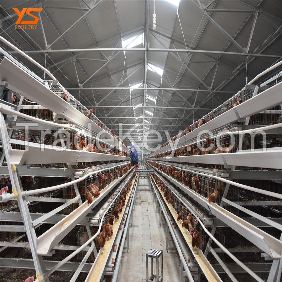 Q 235 steel layer chicken cage for chicken farm for sri lanka