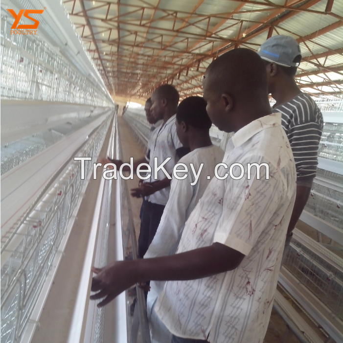 Q 235 steel layer chicken cage for chicken farm for sri lanka