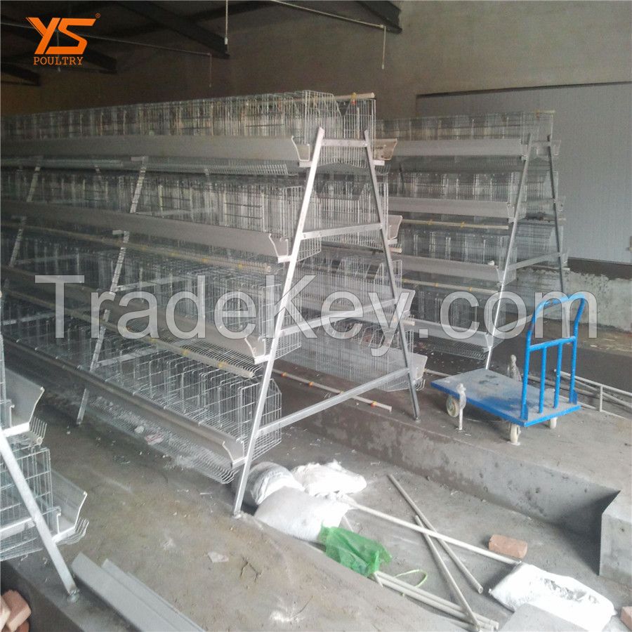 Cost-effective chicken layer cage kenya