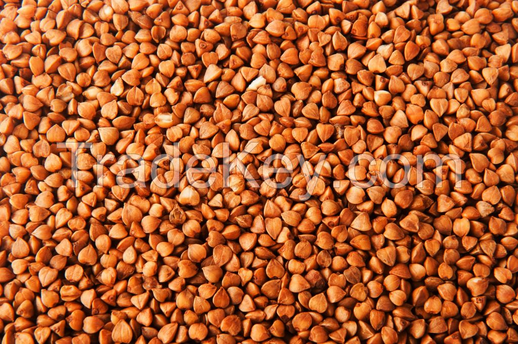 buckwheat, crop 2017 Russian origin