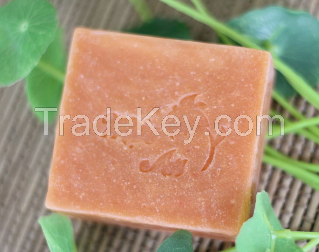 Gac Fruit Soap