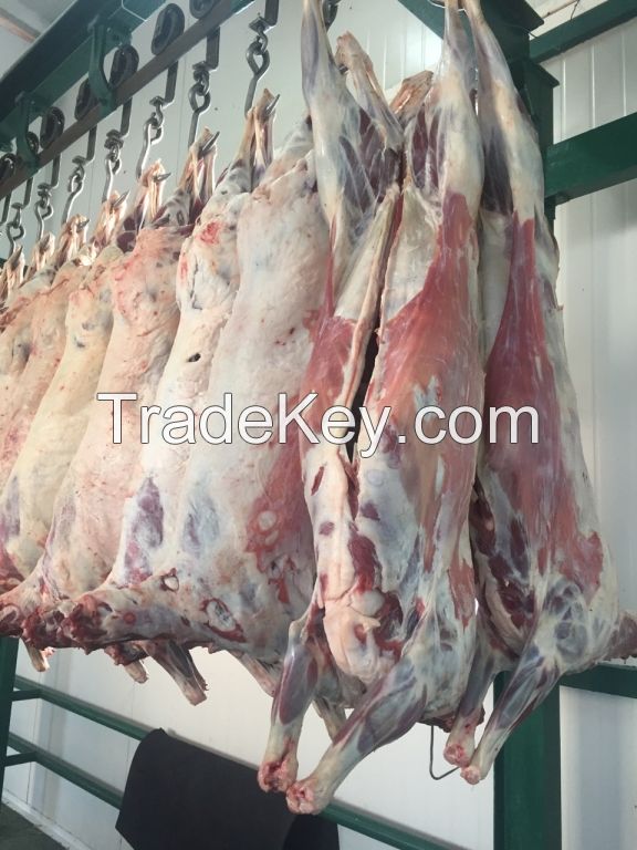 Frozen Halal Lamb/Mutton Carcass