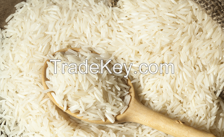 1121 BASMATI AND NON BASMATI