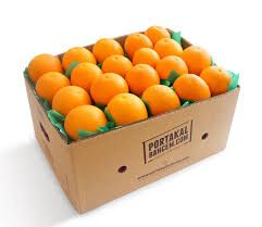 Fresh Natural 100% Organic Orange