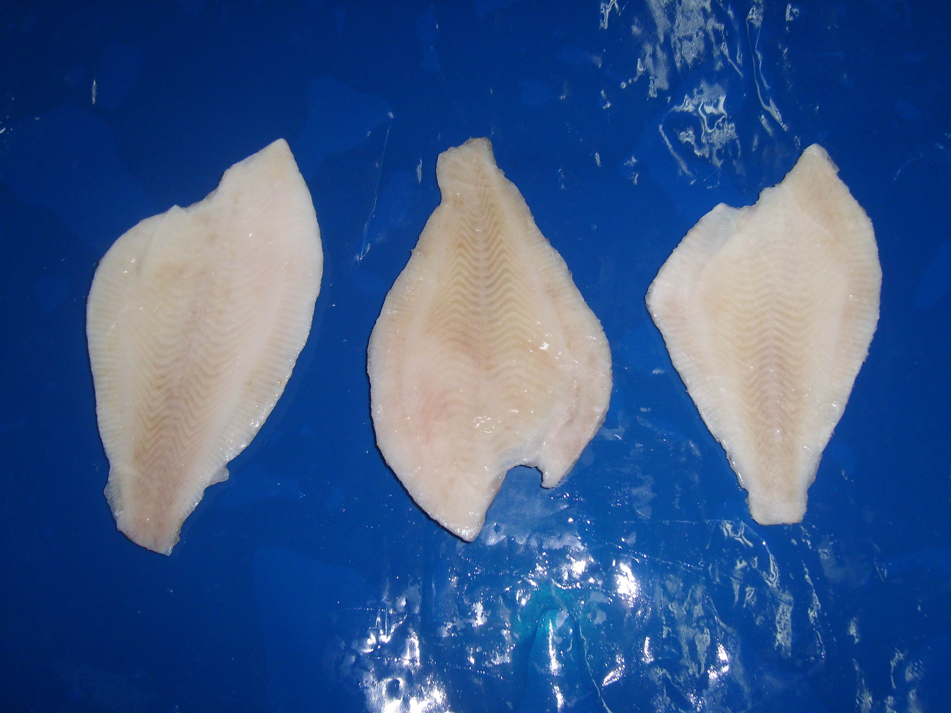 Yellow fin sole fillet