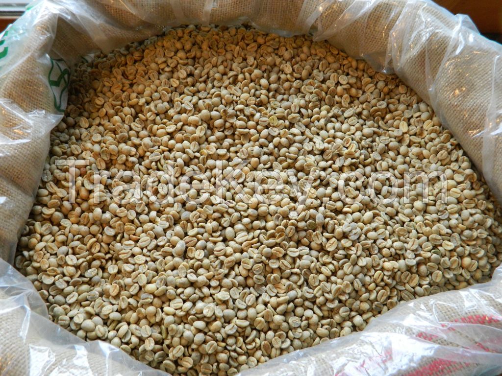 Arabica Coffee bean