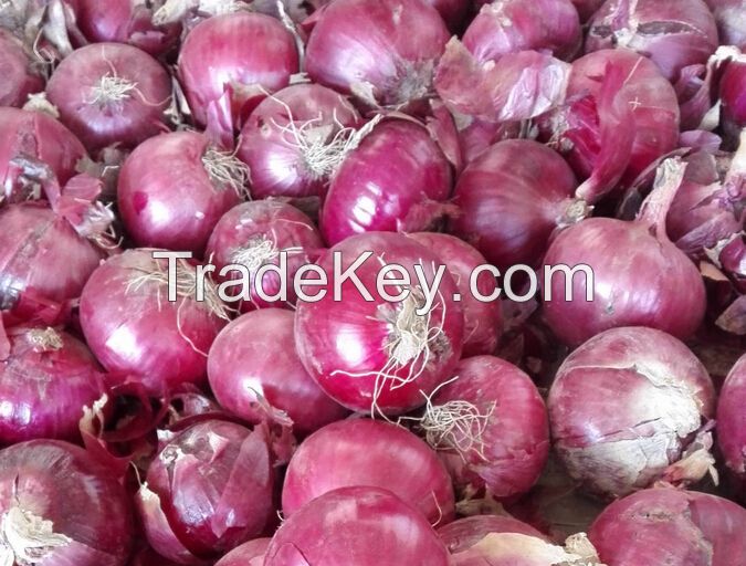 Fresh Yellow and Red Onion