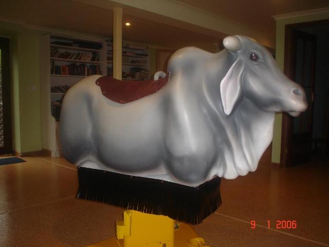 Outback Mechanical Bulls